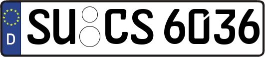 SU-CS6036