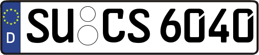 SU-CS6040