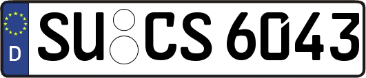 SU-CS6043