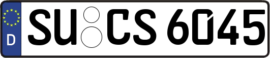 SU-CS6045