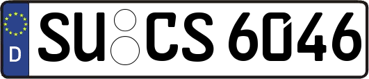 SU-CS6046