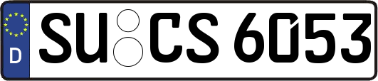 SU-CS6053