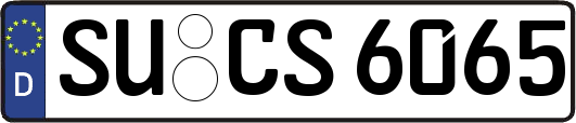 SU-CS6065