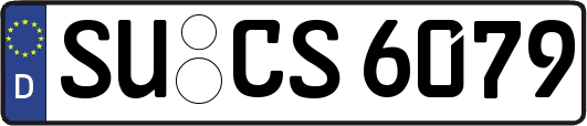 SU-CS6079