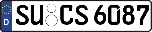 SU-CS6087