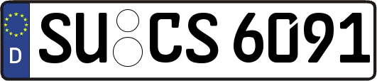 SU-CS6091