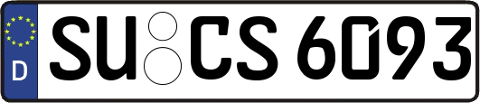 SU-CS6093