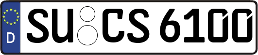 SU-CS6100