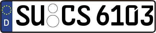 SU-CS6103