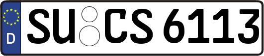 SU-CS6113
