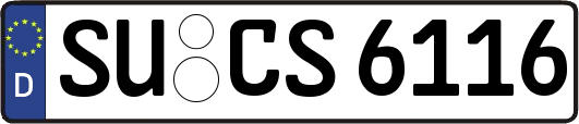 SU-CS6116