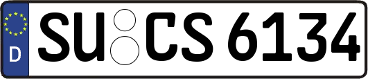 SU-CS6134