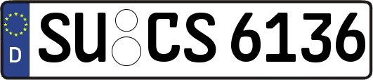 SU-CS6136