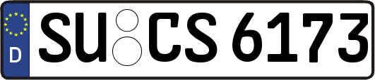 SU-CS6173