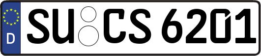 SU-CS6201