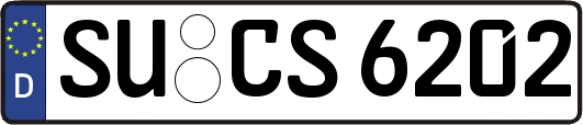 SU-CS6202