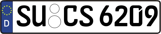 SU-CS6209