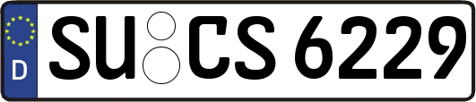 SU-CS6229