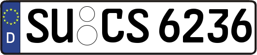 SU-CS6236