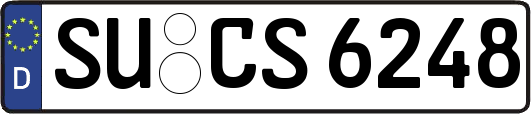 SU-CS6248