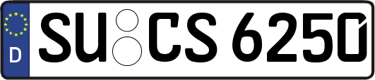 SU-CS6250