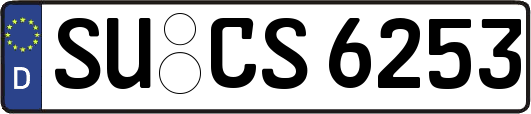 SU-CS6253
