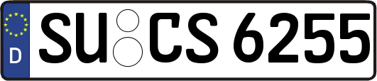 SU-CS6255