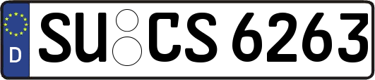 SU-CS6263