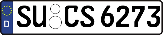 SU-CS6273
