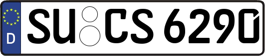 SU-CS6290