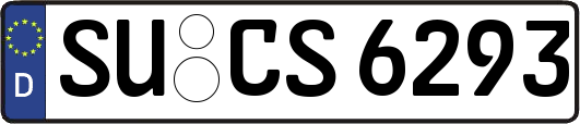 SU-CS6293