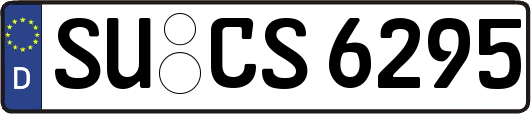 SU-CS6295