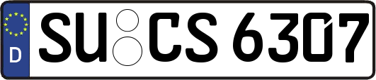 SU-CS6307