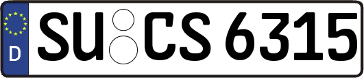 SU-CS6315