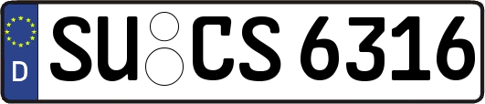 SU-CS6316