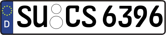 SU-CS6396