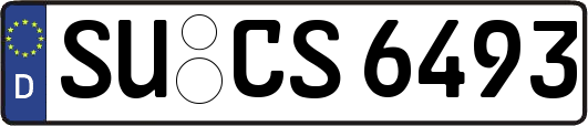 SU-CS6493