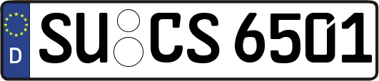 SU-CS6501