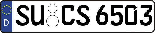 SU-CS6503