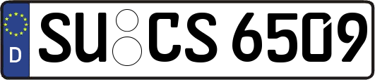 SU-CS6509