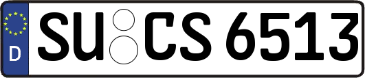 SU-CS6513