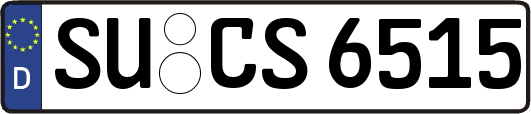 SU-CS6515