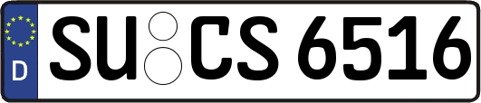 SU-CS6516