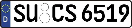 SU-CS6519