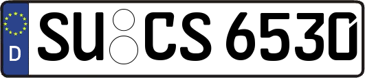 SU-CS6530