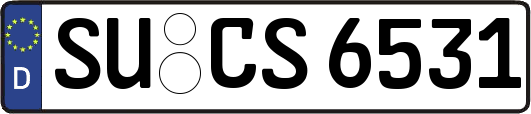 SU-CS6531