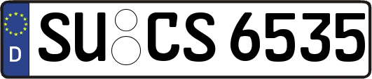 SU-CS6535