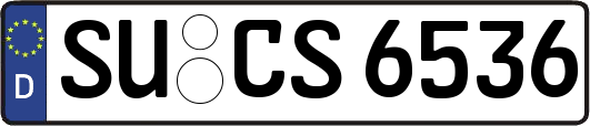 SU-CS6536