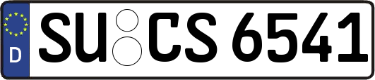 SU-CS6541