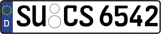 SU-CS6542